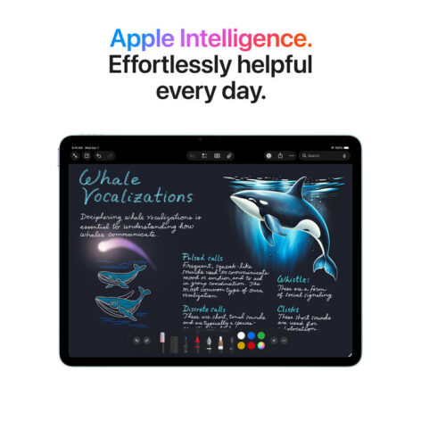 iPad Air 13" Chip M4 256GB Wi-Fi